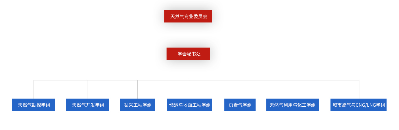 天然气专业委员会架构图.jpg