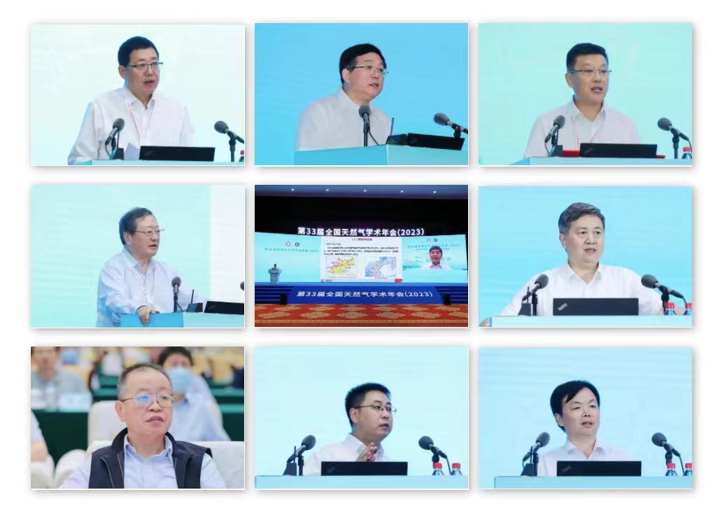 专家报告.jpg